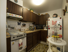 Decorated kitchen with appliances in a Mountain View Apartment